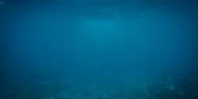 隐藏怪物